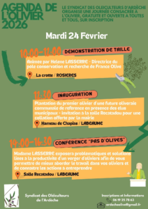 Journée de l'olivier 24 fevrier